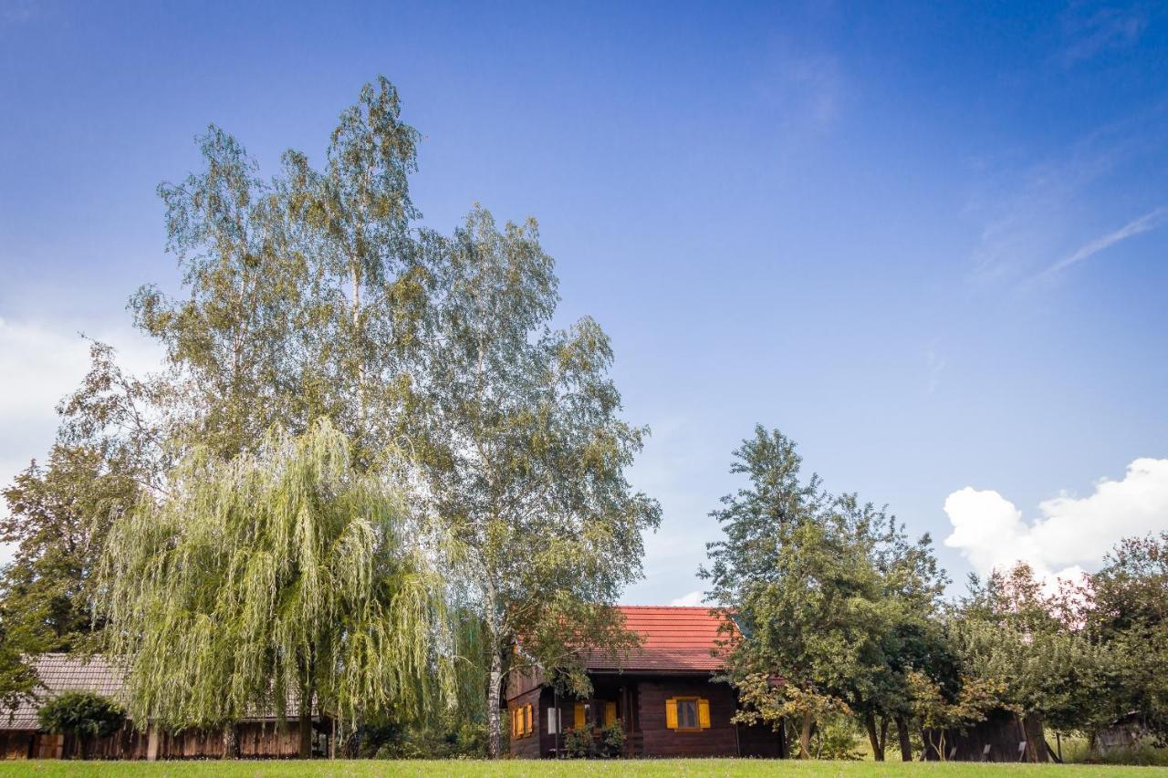 Kuca Za Odmor Cindric Villa Slunj Exterior photo